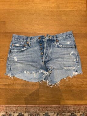 Agolde Parker Shorts